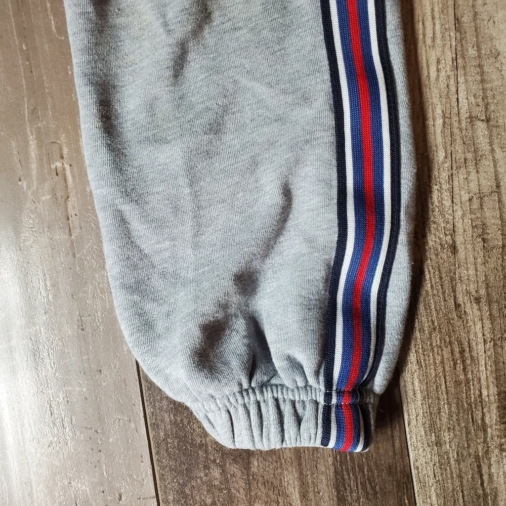 Gymboree Gray Fleece-lined Jogger Sweatpants Boys Size 4T